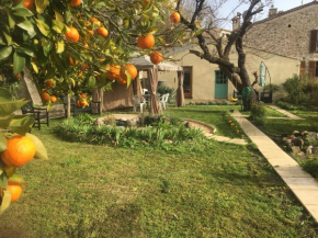 Garden Annexe 3